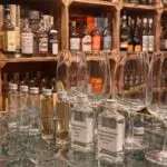 Tequila Tasting – Agaves #1