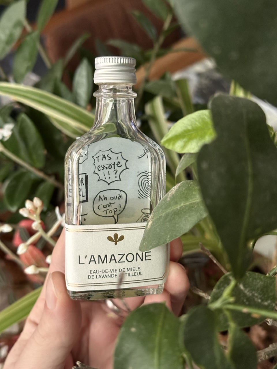 Bulles de Ruche : l’AMAZONE, eau-de-vie de miel